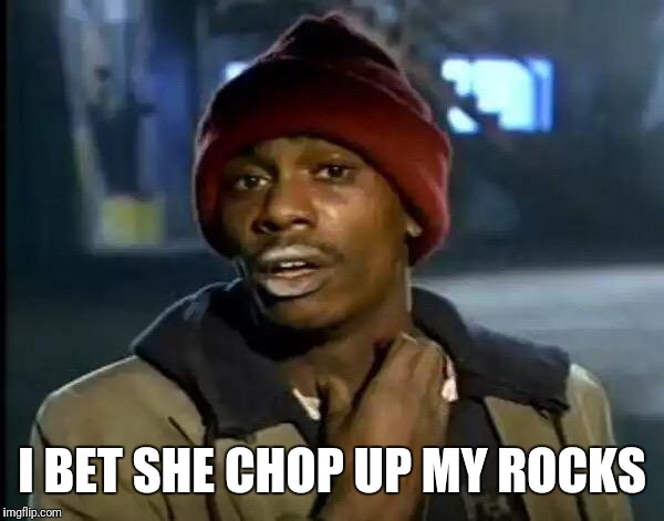 Y'all Got Any More Of That Meme | I BET SHE CHOP UP MY ROCKS | image tagged in memes,y'all got any more of that | made w/ Imgflip meme maker