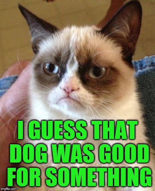 Grumpy Cat Meme | I GUESS THAT DOG WAS GOOD FOR SOMETHING | image tagged in memes,grumpy cat | made w/ Imgflip meme maker
