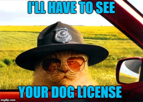 I'LL HAVE TO SEE YOUR DOG LICENSE | made w/ Imgflip meme maker