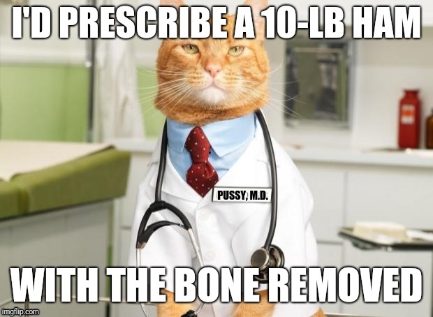 Pussy Doctor | I'D PRESCRIBE A 10-LB HAM; WITH THE BONE REMOVED | image tagged in pussy doctor,hamster | made w/ Imgflip meme maker