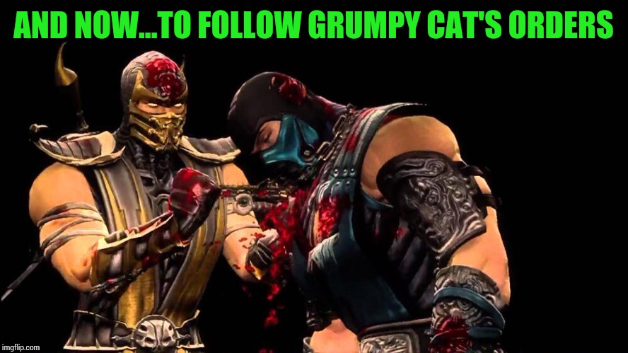 AND NOW...TO FOLLOW GRUMPY CAT'S ORDERS | made w/ Imgflip meme maker