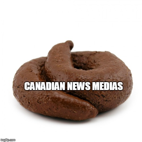 Piece of shit | CANADIAN NEWS MEDIAS | image tagged in piece of shit | made w/ Imgflip meme maker