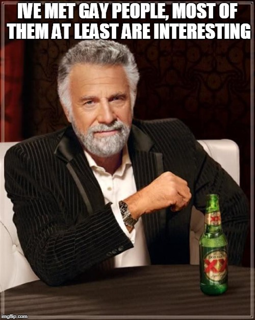 The Most Interesting Man In The World Meme | IVE MET GAY PEOPLE, MOST OF THEM AT LEAST ARE INTERESTING | image tagged in memes,the most interesting man in the world | made w/ Imgflip meme maker