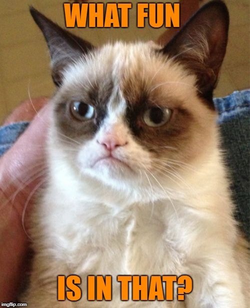 Grumpy Cat Meme | WHAT FUN IS IN THAT? | image tagged in memes,grumpy cat | made w/ Imgflip meme maker