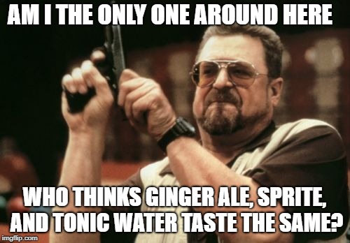 upvote if you agree | AM I THE ONLY ONE AROUND HERE; WHO THINKS GINGER ALE, SPRITE, AND TONIC WATER TASTE THE SAME? | image tagged in memes,am i the only one around here,soda | made w/ Imgflip meme maker