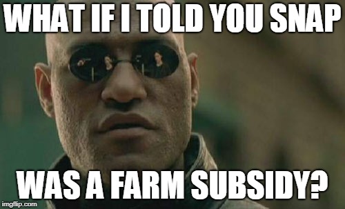 Matrix Morpheus Meme | WHAT IF I TOLD YOU SNAP; WAS A FARM SUBSIDY? | image tagged in memes,matrix morpheus | made w/ Imgflip meme maker
