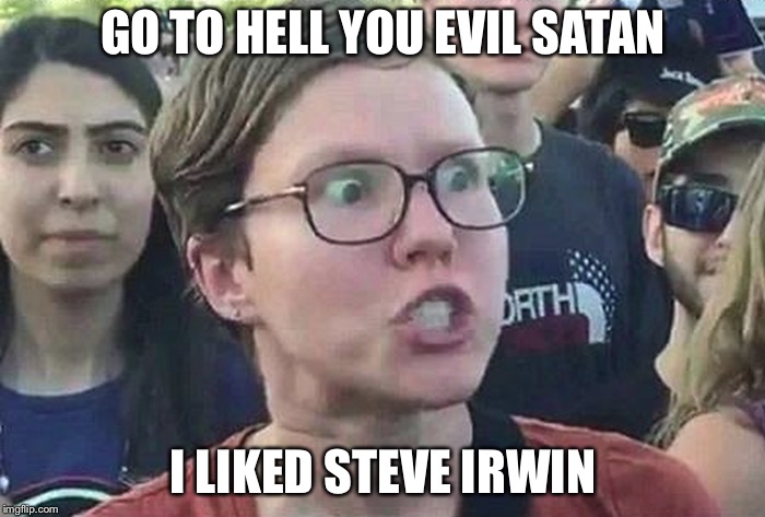 Triggered Liberal | GO TO HELL YOU EVIL SATAN I LIKED STEVE IRWIN | image tagged in triggered liberal | made w/ Imgflip meme maker