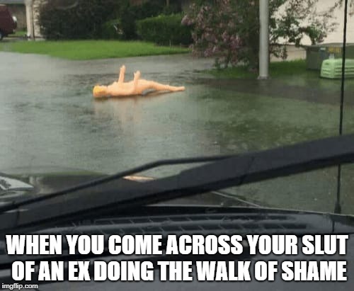 WHEN YOU COME ACROSS YOUR SLUT OF AN EX DOING THE WALK OF SHAME | image tagged in ex,walk of shame | made w/ Imgflip meme maker