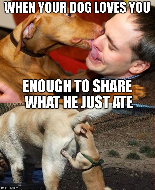 WHEN YOUR DOG LOVES YOU ENOUGH TO SHARE WHAT HE JUST ATE | made w/ Imgflip meme maker