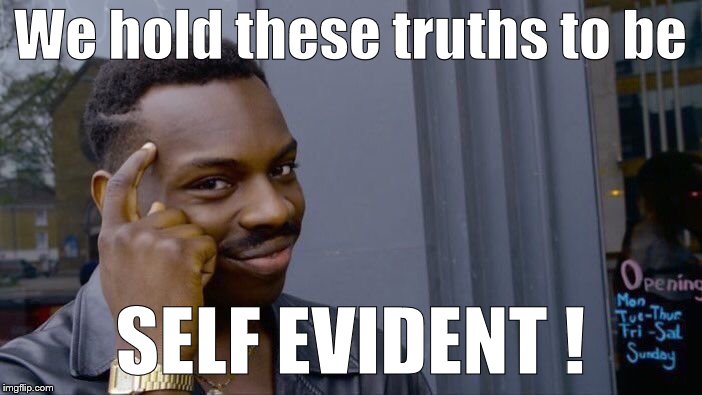 Roll Safe Think About It Meme | We hold these truths to be SELF EVIDENT ! | image tagged in memes,roll safe think about it | made w/ Imgflip meme maker