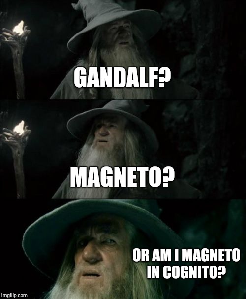 Confused Gandalf Meme | GANDALF? MAGNETO? OR AM I MAGNETO IN COGNITO? | image tagged in memes,confused gandalf | made w/ Imgflip meme maker