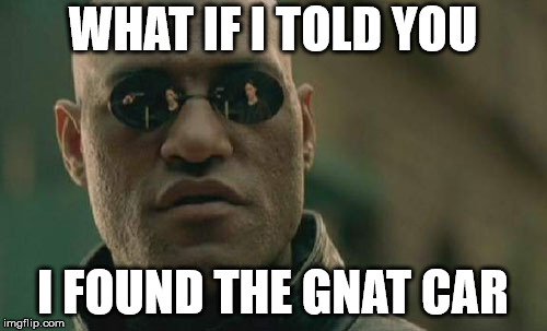 Matrix Morpheus Meme | WHAT IF I TOLD YOU I FOUND THE GNAT CAR | image tagged in memes,matrix morpheus | made w/ Imgflip meme maker