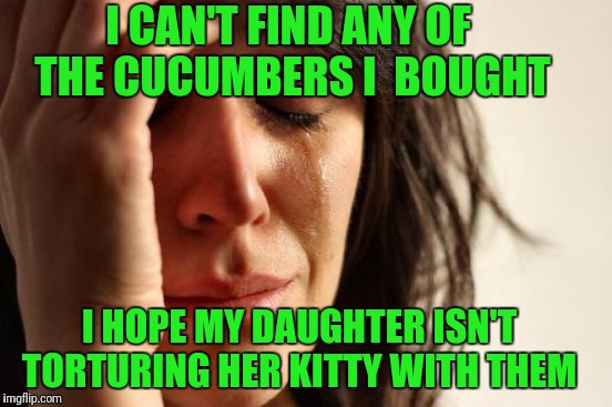 I love those videos | I CAN'T FIND ANY OF THE CUCUMBERS I  BOUGHT; I HOPE MY DAUGHTER ISN'T TORTURING HER KITTY WITH THEM | image tagged in memes,first world problems | made w/ Imgflip meme maker