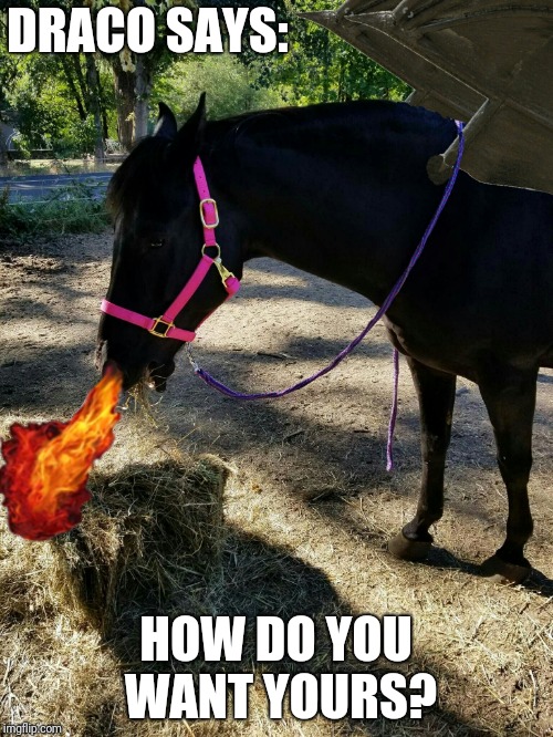 DRACO SAYS:; HOW DO YOU WANT YOURS? | image tagged in draco the dragon/horse | made w/ Imgflip meme maker