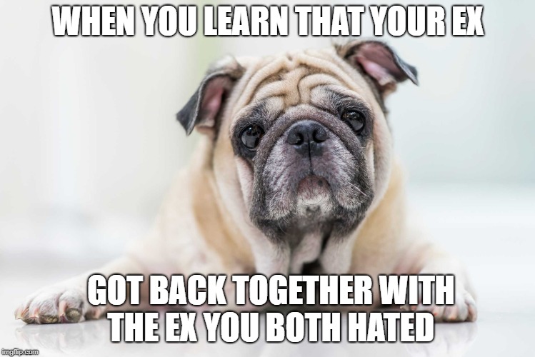 WHEN YOU LEARN THAT YOUR EX; GOT BACK TOGETHER WITH THE EX YOU BOTH HATED | made w/ Imgflip meme maker