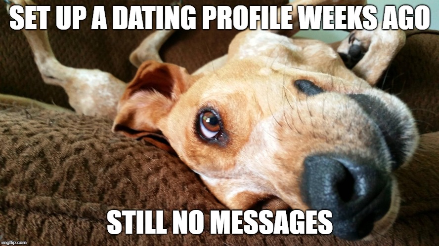 SET UP A DATING PROFILE WEEKS AGO; STILL NO MESSAGES | made w/ Imgflip meme maker