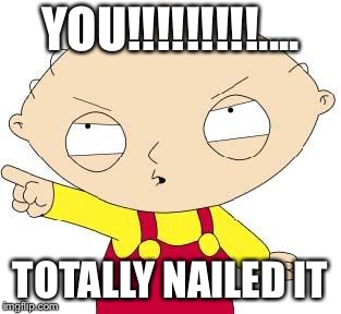 Stewie | YOU!!!!!!!!!.... TOTALLY NAILED IT | image tagged in stewie | made w/ Imgflip meme maker