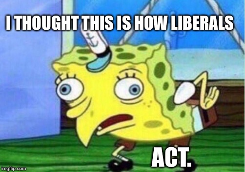 Mocking Spongebob | I THOUGHT THIS IS HOW LIBERALS; ACT. | image tagged in memes,mocking spongebob | made w/ Imgflip meme maker