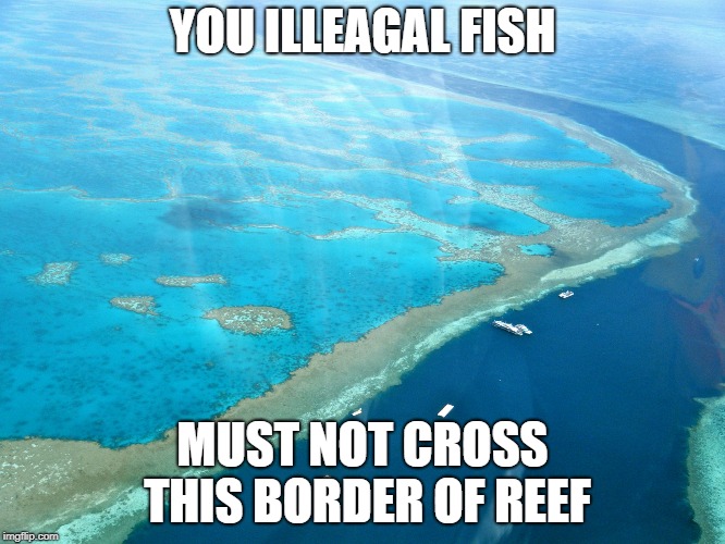 Great Barrier Reef | YOU ILLEAGAL FISH MUST NOT CROSS THIS BORDER OF REEF | image tagged in great barrier reef | made w/ Imgflip meme maker