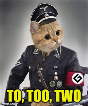 Grammar Nazi Cat | TO, TOO, TWO | image tagged in grammar nazi cat | made w/ Imgflip meme maker