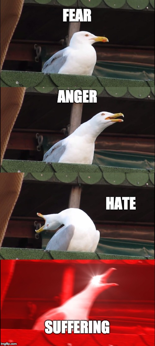 Inhaling Seagull Meme | FEAR ANGER HATE SUFFERING | image tagged in memes,inhaling seagull | made w/ Imgflip meme maker
