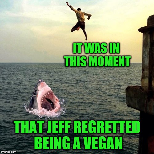 So much of his life wasted by not poaching sharks | IT WAS IN THIS MOMENT; THAT JEFF REGRETTED BEING A VEGAN | image tagged in memes,shark,vegan,death wish | made w/ Imgflip meme maker
