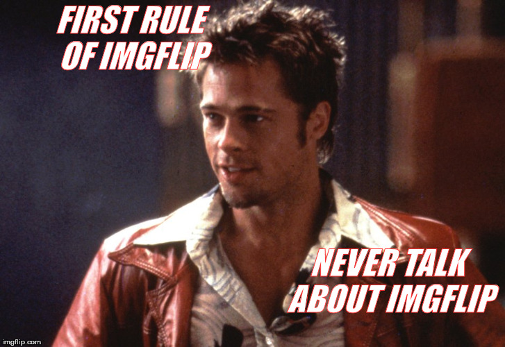 For the noobs | FIRST RULE OF IMGFLIP; NEVER TALK ABOUT IMGFLIP | image tagged in imgflip users,imgflippers,fight club | made w/ Imgflip meme maker