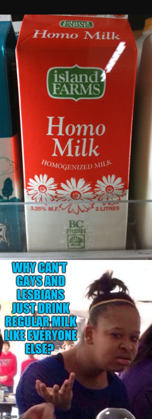This seems like a step backwards to me | WHY CAN'T GAYS AND LESBIANS JUST DRINK REGULAR MILK LIKE EVERYONE ELSE? | image tagged in homosexuality,jbmemegeek,milk carton,memes | made w/ Imgflip meme maker