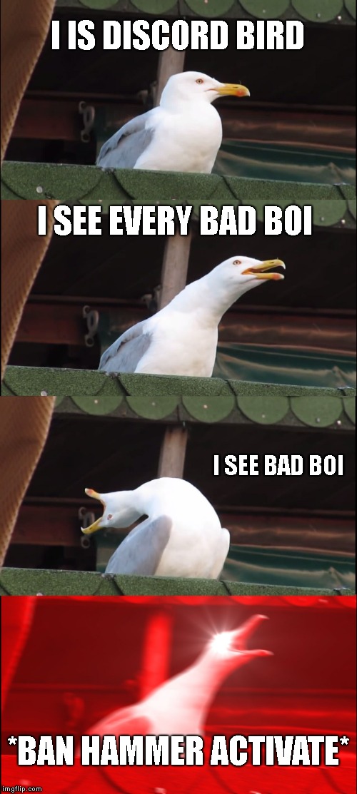 Inhaling Seagull Meme | I IS DISCORD BIRD; I SEE EVERY BAD BOI; I SEE BAD BOI; *BAN HAMMER ACTIVATE* | image tagged in memes,inhaling seagull | made w/ Imgflip meme maker