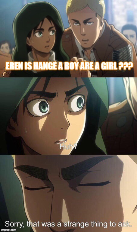 Strange question attack on titan | EREN IS HANGE A BOY ARE A GIRL ??? | image tagged in strange question attack on titan | made w/ Imgflip meme maker