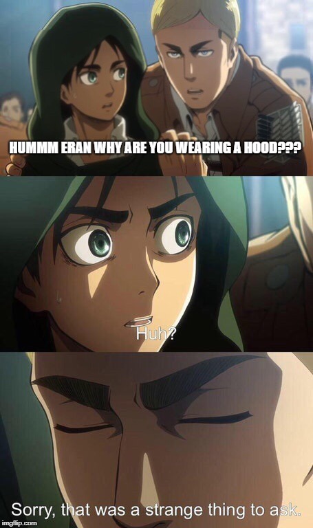 Strange question attack on titan | HUMMM ERAN WHY ARE YOU WEARING A HOOD??? | image tagged in strange question attack on titan | made w/ Imgflip meme maker