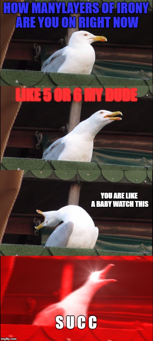 Inhaling Seagull | HOW MANYLAYERS OF IRONY ARE YOU ON RIGHT NOW; LIKE 5 OR 6 MY DUDE; YOU ARE LIKE A BABY WATCH THIS; S U C C | image tagged in memes,inhaling seagull | made w/ Imgflip meme maker