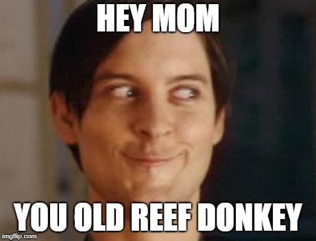 Spiderman Peter Parker | HEY MOM; YOU OLD REEF DONKEY | image tagged in memes,spiderman peter parker,reef,donkey,mom | made w/ Imgflip meme maker