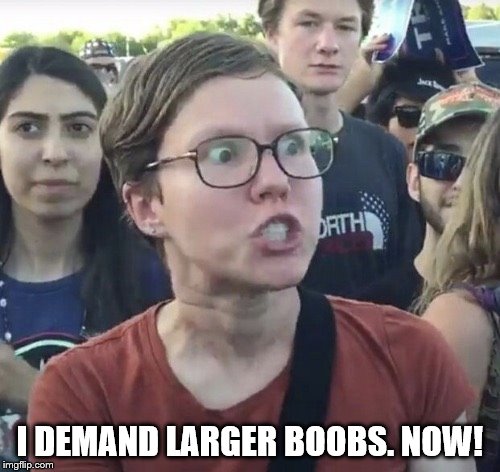 A legitimate demand. | I DEMAND LARGER BOOBS. NOW! | image tagged in triggered feminist,nsfw,memes | made w/ Imgflip meme maker