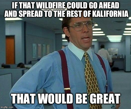 That Would Be Great | IF THAT WILDFIRE COULD GO AHEAD AND SPREAD TO THE REST OF KALIFORNIA; THAT WOULD BE GREAT | image tagged in memes,that would be great | made w/ Imgflip meme maker