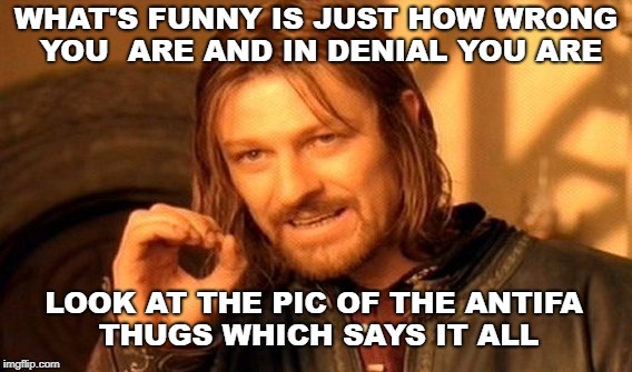 One Does Not Simply Meme | WHAT'S FUNNY IS JUST HOW WRONG YOU  ARE AND IN DENIAL YOU ARE LOOK AT THE PIC OF THE ANTIFA THUGS WHICH SAYS IT ALL | image tagged in memes,one does not simply | made w/ Imgflip meme maker