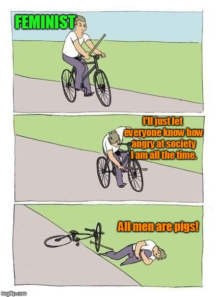Bike Fall Meme | FEMINIST All men are pigs! I'll just let everyone know how angry at society I am all the time. | image tagged in bicycle | made w/ Imgflip meme maker