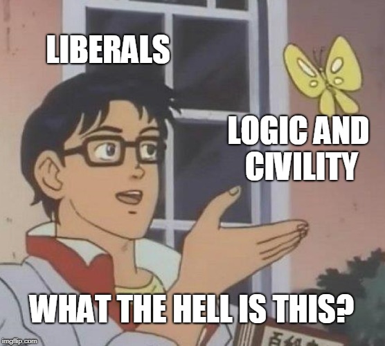 Is This A Pigeon Meme | LIBERALS; LOGIC AND CIVILITY; WHAT THE HELL IS THIS? | image tagged in memes,is this a pigeon | made w/ Imgflip meme maker