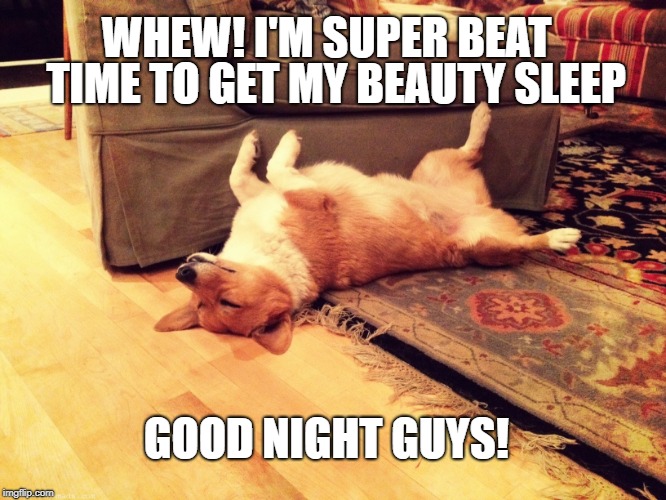 TIME TO GET MY BEAUTY SLEEP; WHEW! I'M SUPER BEAT; GOOD NIGHT GUYS! | made w/ Imgflip meme maker
