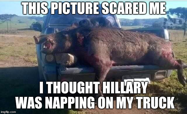 THIS PICTURE SCARED ME; I THOUGHT HILLARY WAS NAPPING ON MY TRUCK | image tagged in huge hogg,hillary | made w/ Imgflip meme maker