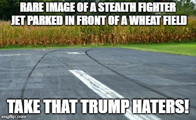RARE IMAGE OF A STEALTH FIGHTER JET PARKED IN FRONT OF A WHEAT FIELD; TAKE THAT TRUMP HATERS! | image tagged in donald trump,trump,stealth plane | made w/ Imgflip meme maker