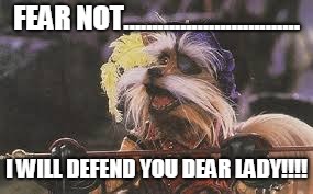 FEAR NOT............................... I WILL DEFEND YOU DEAR LADY!!!! | image tagged in sir didymus | made w/ Imgflip meme maker