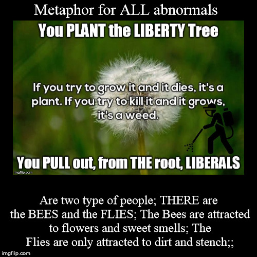 Plant or Weed...Conservative or Liberal | image tagged in metapior,liberty,trump,election,biden | made w/ Imgflip demotivational maker