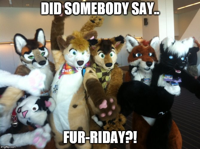 Furry Friday | DID SOMEBODY SAY.. FUR-RIDAY?! | image tagged in furries,memes | made w/ Imgflip meme maker