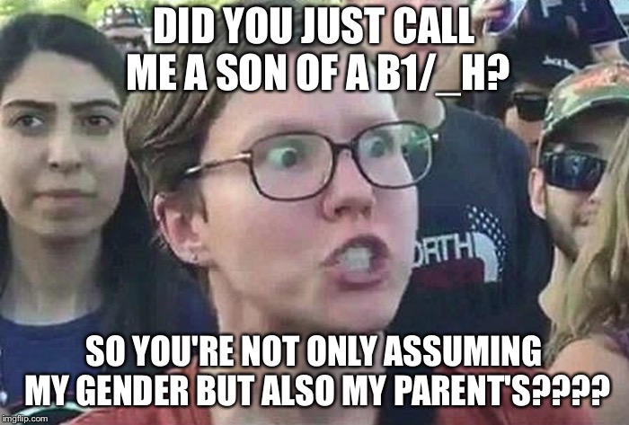 Triggered Liberal | DID YOU JUST CALL ME A SON OF A B1/_H? SO YOU'RE NOT ONLY ASSUMING MY GENDER BUT ALSO MY PARENT'S???? | image tagged in triggered liberal | made w/ Imgflip meme maker