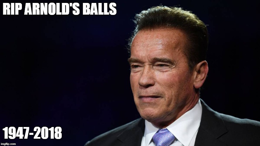 RIP ARNOLD'S BALLS; 1947-2018 | image tagged in terminator arnold schwarzenegger,hollywood liberals | made w/ Imgflip meme maker