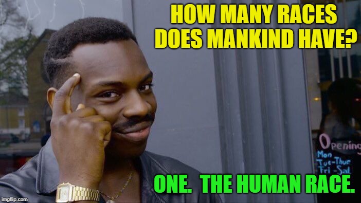 That is all. | HOW MANY RACES DOES MANKIND HAVE? ONE.  THE HUMAN RACE. | image tagged in memes,roll safe think about it,no racism,psa | made w/ Imgflip meme maker