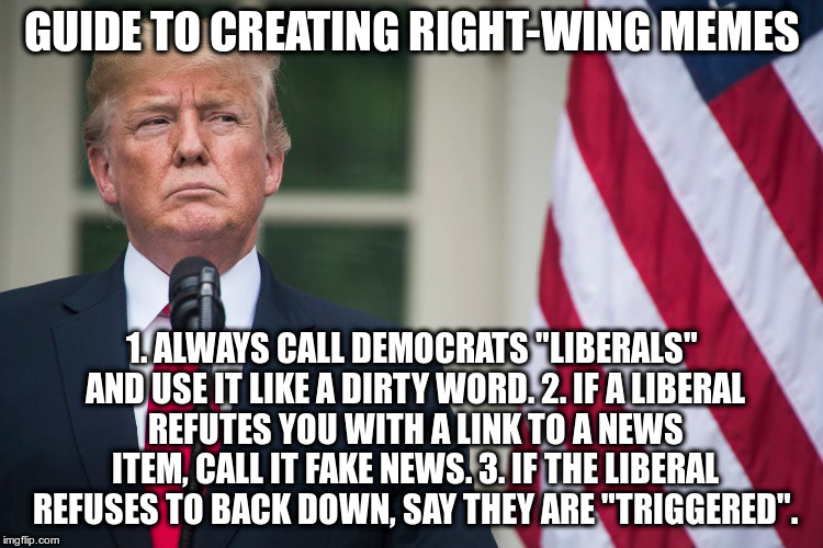 Easy instructions for creating right-wing memes | GUIDE TO CREATING RIGHT-WING MEMES; 1. ALWAYS CALL DEMOCRATS "LIBERALS" AND USE IT LIKE A DIRTY WORD. 2. IF A LIBERAL REFUTES YOU WITH A LINK TO A NEWS ITEM, CALL IT FAKE NEWS. 3. IF THE LIBERAL REFUSES TO BACK DOWN, SAY THEY ARE "TRIGGERED". | image tagged in liberals,democrats,republicans,humor,guide to creating right-wing memes | made w/ Imgflip meme maker