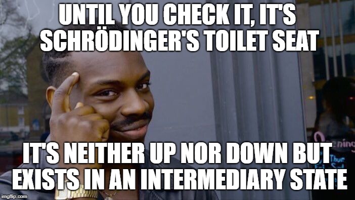 Roll Safe Think About It Meme | UNTIL YOU CHECK IT, IT'S SCHRÖDINGER'S TOILET SEAT IT'S NEITHER UP NOR DOWN BUT EXISTS IN AN INTERMEDIARY STATE | image tagged in memes,roll safe think about it | made w/ Imgflip meme maker