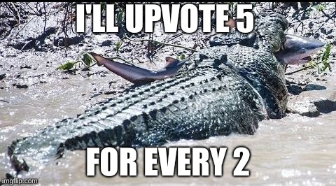I'LL UPVOTE 5 FOR EVERY 2 | image tagged in crocodile eating bull shark | made w/ Imgflip meme maker